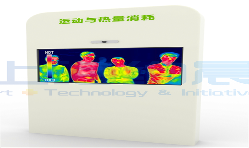 运动能量消耗